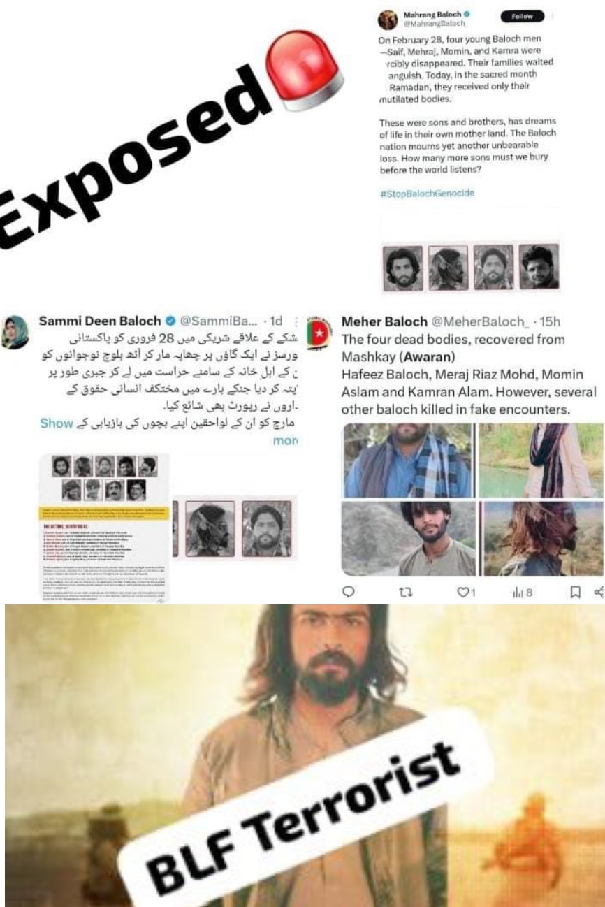 BYC’s Hypocrisy Exposed: From Defending Terrorists to Facing the Truth